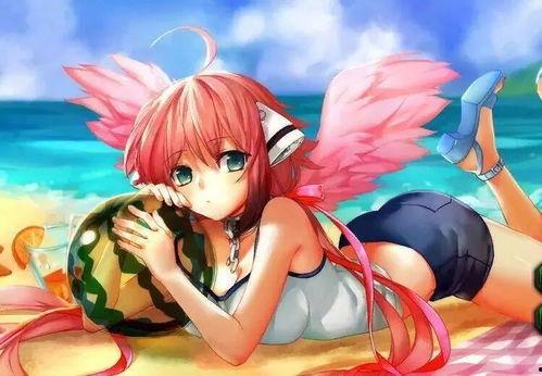 吃伊卡洛斯种的瓜,探寻神秘植物背后的传奇故事