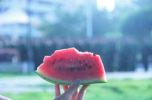 平静的吃瓜,洞察世间百态