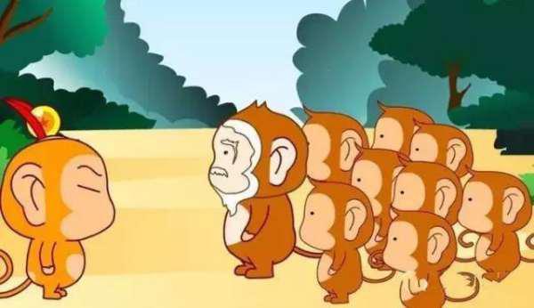 猴王吃瓜素材高清图,高清图鉴揭秘热带风情