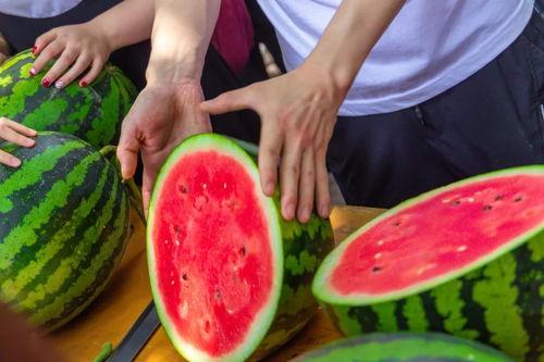 实现吃瓜自由视频,短视频时代的娱乐狂欢与反思