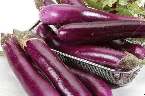 红瓜和茄子一块吃行吗,营养互补新体验