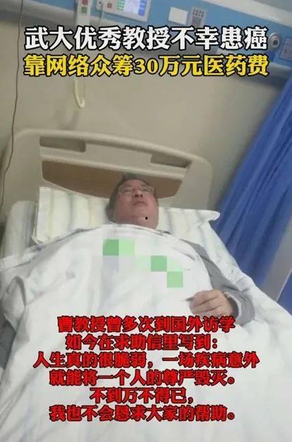 吃瓜武汉大学教授,吃瓜武汉大学教授的学术风采与生活趣事