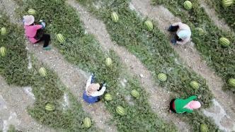 峡谷吃瓜群众视频,揭秘热门游戏背后的趣味故事