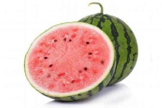 吃瓜麒麟图片,探寻神秘生物的奇幻之旅