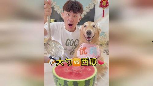 急眼吃瓜,揭秘娱乐圈的瞬间爆点与幕后真相