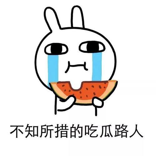 我的吃瓜生活,揭秘娱乐圈幕后故事