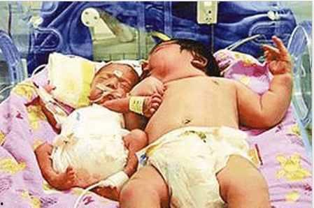 巨婴给粉丝吃瓜,独家瓜料大放送！