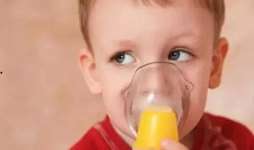 让小孩吃痰瓜,儿童饮食新风尚，健康美味两不误