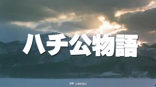 吃瓜型片头,吃瓜型片头带你领略明星幕后故事