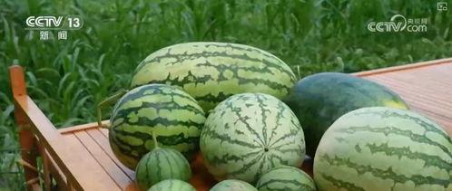 最新 吃瓜,事件始末及各方反应