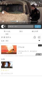 百度云 吃瓜群,网络社交新趋势下的娱乐风向标