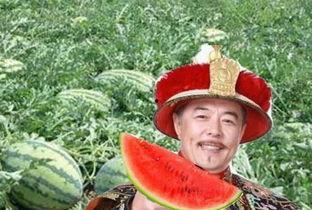 乾隆吃瓜方法,乾隆皇帝的皇家吃瓜艺术