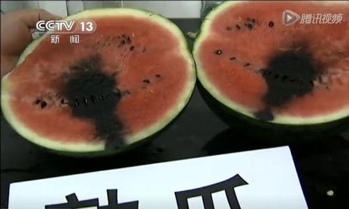 吃瓜屋图文,图文背后的趣味与真相