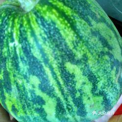 悠悠吃瓜机水果,水果盛宴，尽享舌尖上的快乐时光