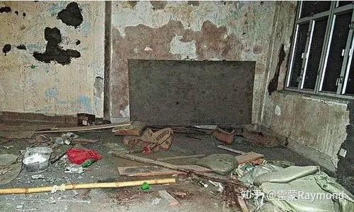 捡尸照片吃瓜,一场网络吃瓜盛宴