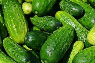 梦北吃瓜,揭秘娱乐圈的甜蜜与苦涩