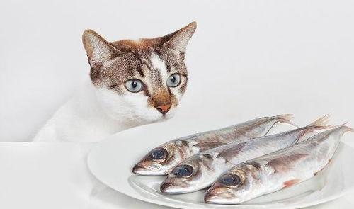 柚子猫非鱼吃瓜,揭秘网络热点的背后真相