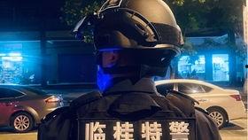 大王的vlog吃瓜,揭秘娱乐圈吃瓜背后的故事