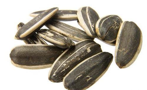 吃瓜拿瓜子,揭秘瓜果时光的休闲享受