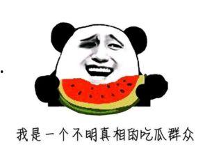 吃瓜群众牛大爷,揭秘娱乐圈背后的那些事儿