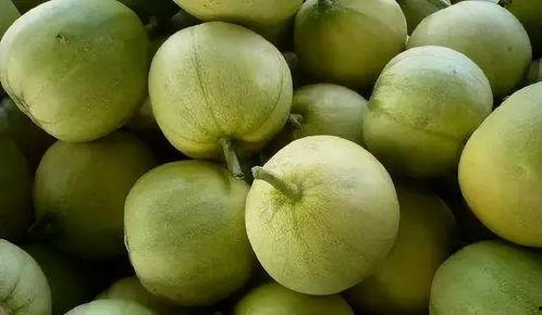 吃瓜者吃瓜人吃瓜,揭秘吃瓜者、吃瓜人、吃瓜的趣味故事