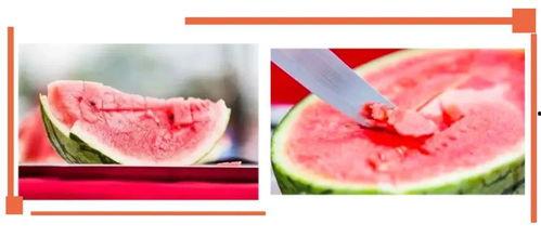 吃瓜网站成都沙河,揭秘网红吃瓜圣地背后的故事