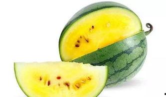 地野瓜怎么吃最好,解锁美味新体验