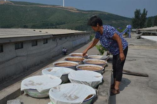 大妈吃瓜缅甸,揭秘东南亚风情与民生百态
